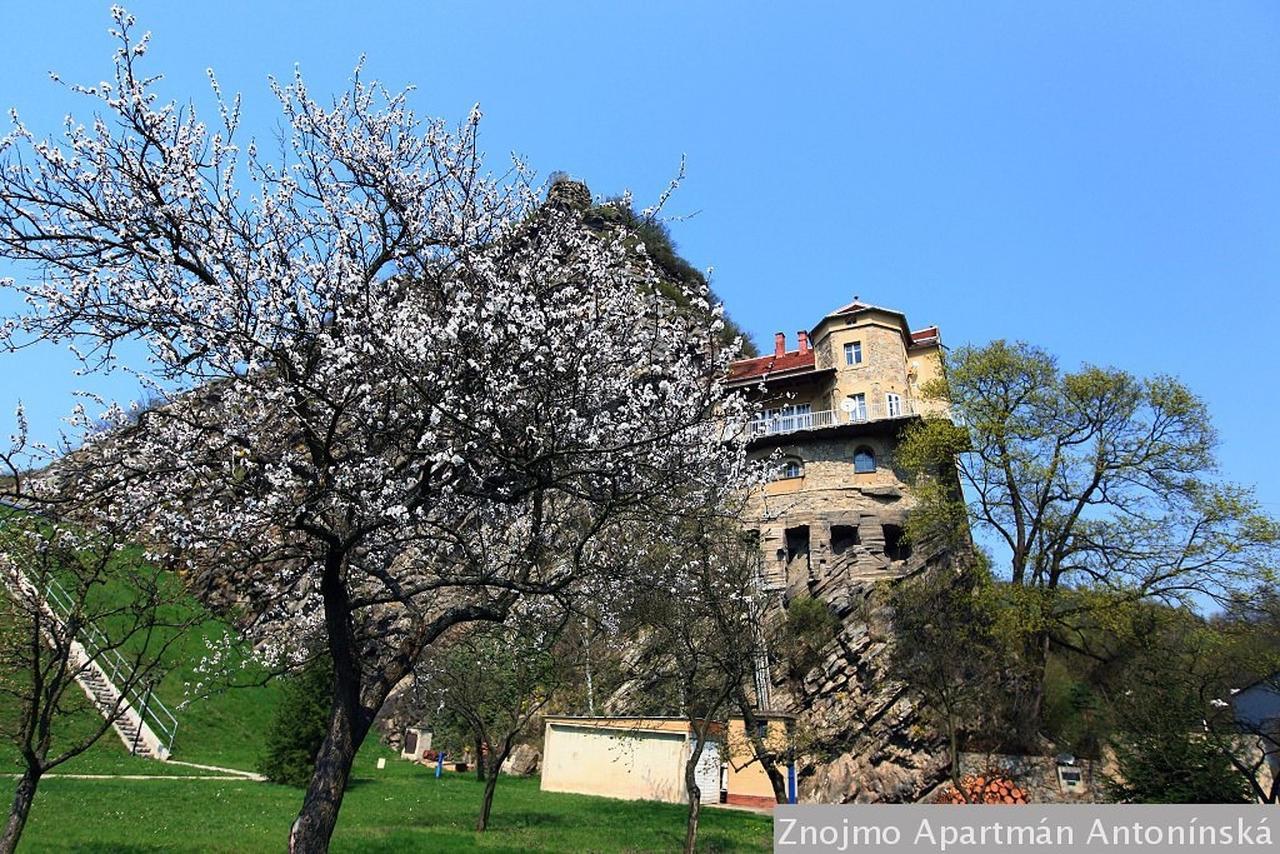 Apartmán Antonínská Znojmo Exterior foto